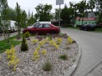 Chodniki i parkingi dla SM DĄB w Szczecinie